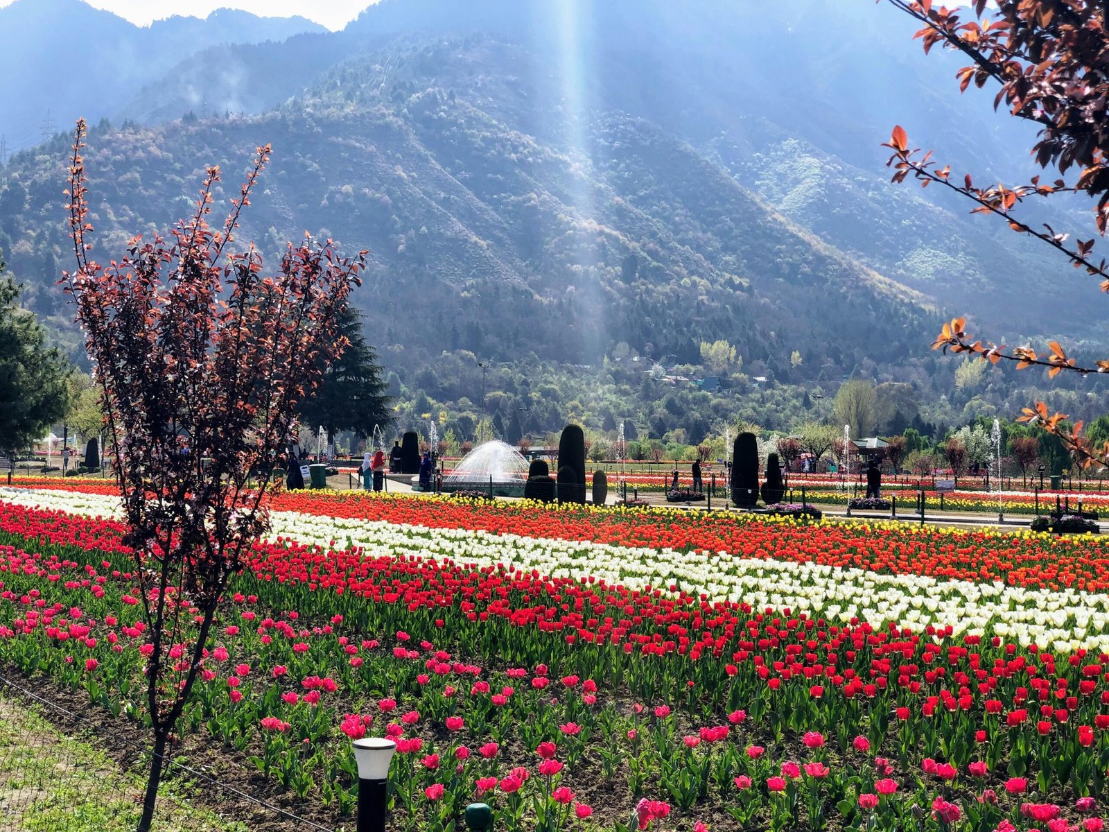 Magnificent Kashmir Holiday -With Houseboat Stay