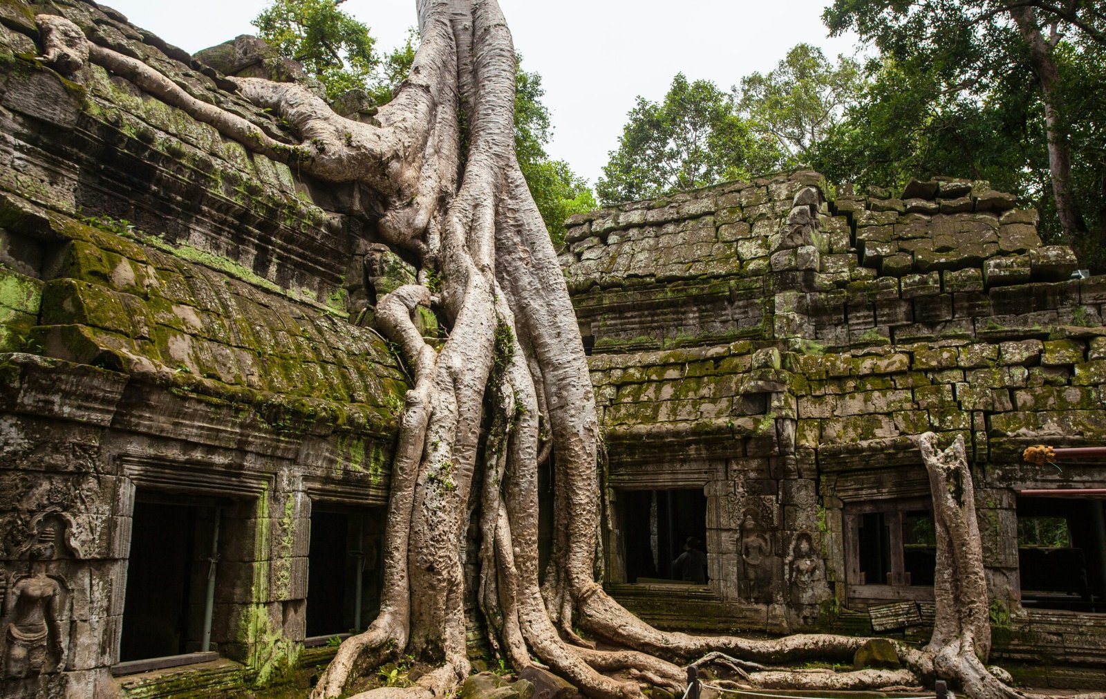 DISCOVER CAMBODIA