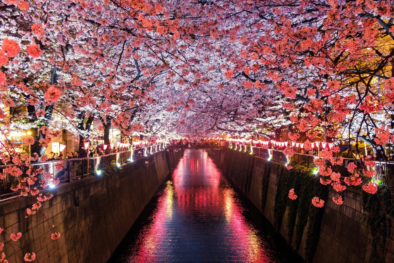 SCENIC JAPAN
